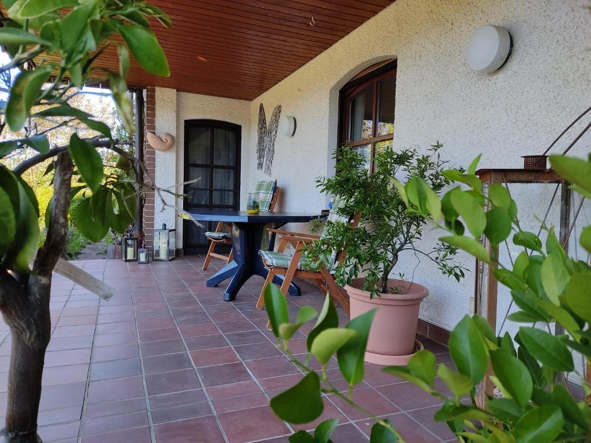 Ferienwohnung Bastian Thalmassing  Exterior foto
